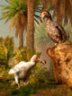 Pair Dodo Birds Play Wall Decal