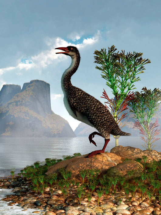 Hesperornis Shore Lake Looking Wall Decal