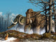 Rabbit Witnesses Herd Mammoths Wall Decal