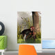 Lycaenops Stalking through Shallow Wall Decal