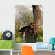Lycaenops Stalking through Shallow Wall Decal