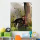 Lycaenops Stalking through Shallow Wall Decal