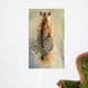 Meditating Tiger Wall Decal
