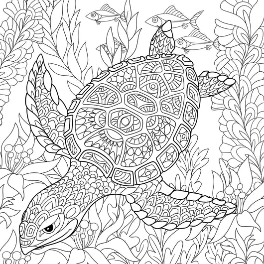 Sea Turtle Coloring Page Decal