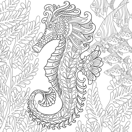 Seahorse Coloring Page Decal
