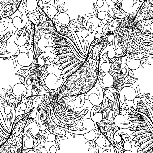 Hummingbird Coloring Page Decal
