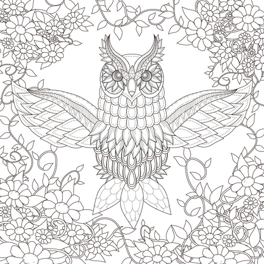 Owl Coloring Page Decal