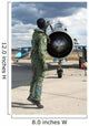 Romanian Air Force Pilot Wall Decal