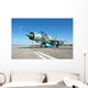 Romanian Air Force Mig-21 Wall Decal Design 2