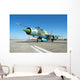 Romanian Air Force Mig-21 Wall Decal Design 2