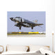 Turkish Air Force F-4e Wall Decal Design 2