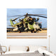 Brazilian Air Force Ah-2 Wall Decal
