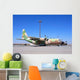 Israeli Air Force C-130 Wall Decal Design 2