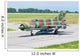 Bulgarian Air Force Mig-21 Wall Decal