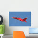 Special Painted Yak-130 Performing Wall Decal