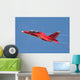 Special Painted Yak-130 Performing Wall Decal