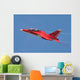 Special Painted Yak-130 Performing Wall Decal