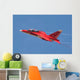 Special Painted Yak-130 Performing Wall Decal