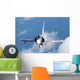 Brazilian Air Force Mirage Wall Decal Design 2