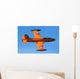 Italian Air Force Mb-326e Wall Decal