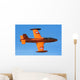 Italian Air Force Mb-326e Wall Decal