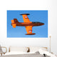 Italian Air Force Mb-326e Wall Decal