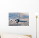 Brazilian Air Force Mirage Wall Decal Design 1