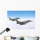 Pair Italian Air Force Wall Decal