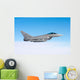 Italian Air Force F-2000a Wall Decal