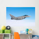 Italian Air Force F-2000a Wall Decal