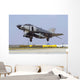 Turkish Air Force F-4e-2020 Wall Decal Design 7