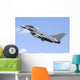 Spanish Air Force Ef-2000 Wall Decal Design 2