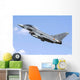 Spanish Air Force Ef-2000 Wall Decal Design 2