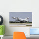 Qatar Emiri Air Force Wall Decal Design 7