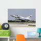 Qatar Emiri Air Force Wall Decal Design 7