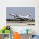 Qatar Emiri Air Force Wall Decal Design 7