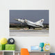 Qatar Emiri Air Force Wall Decal Design 4