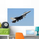 Pakistan Air Force F-16a Wall Decal