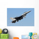 Pakistan Air Force F-16a Wall Decal