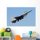 Pakistan Air Force F-16a Wall Decal
