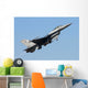 Pakistan Air Force F-16a Wall Decal