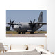 Bulgarian Air Force Alenia Wall Decal