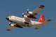 Turkish Air Force C-130e Wall Decal