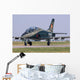Romanian Air Force Advanced Wall Decal