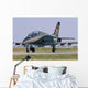 Romanian Air Force Advanced Wall Decal
