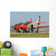 Pair Spanish Air Force Wall Decal