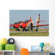 Pair Spanish Air Force Wall Decal