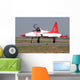 Nf-5a Turkish Stars Aerobatic Wall Decal