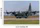 Algerian Air Force C-130h Wall Decal