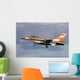 Israeli Air Force F-16b Wall Decal